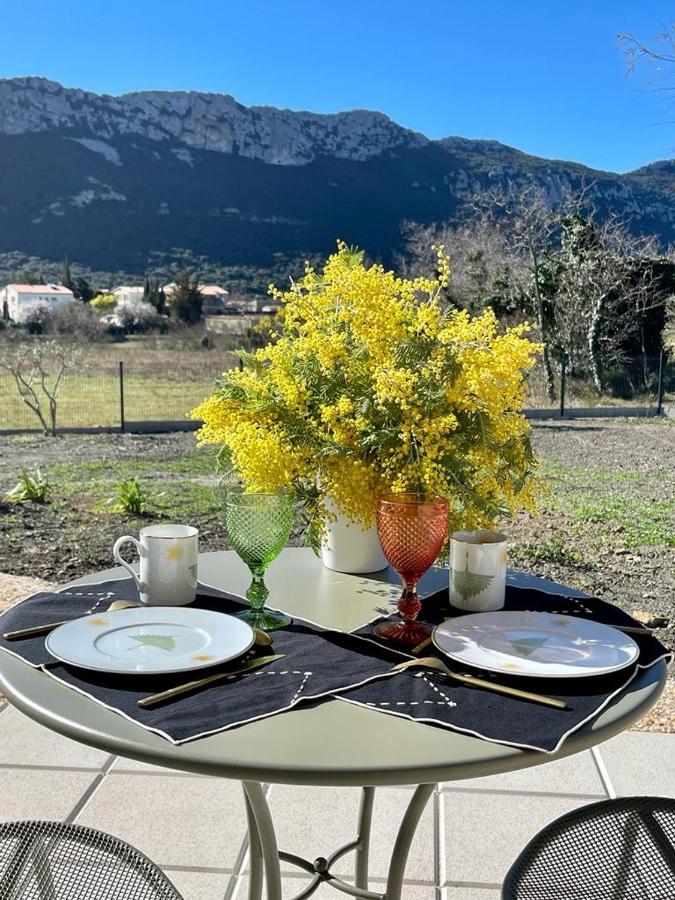Domaine Mas Terra Bed & Breakfast Saint Paul de Fenouillet Bagian luar foto