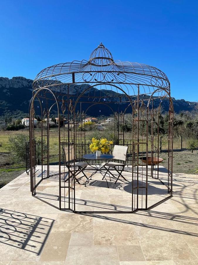 Domaine Mas Terra Bed & Breakfast Saint Paul de Fenouillet Bagian luar foto