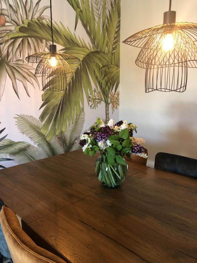 Domaine Mas Terra Bed & Breakfast Saint Paul de Fenouillet Bagian luar foto