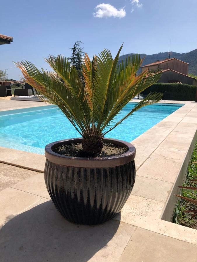 Domaine Mas Terra Bed & Breakfast Saint Paul de Fenouillet Bagian luar foto