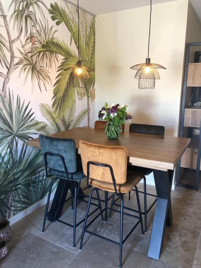 Domaine Mas Terra Bed & Breakfast Saint Paul de Fenouillet Bagian luar foto
