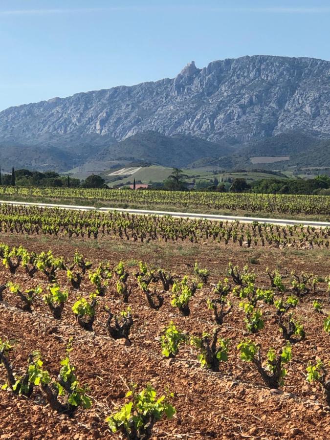 Domaine Mas Terra Bed & Breakfast Saint Paul de Fenouillet Bagian luar foto