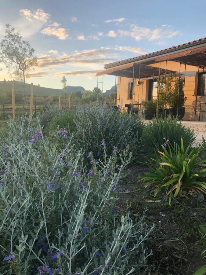 Domaine Mas Terra Bed & Breakfast Saint Paul de Fenouillet Bagian luar foto