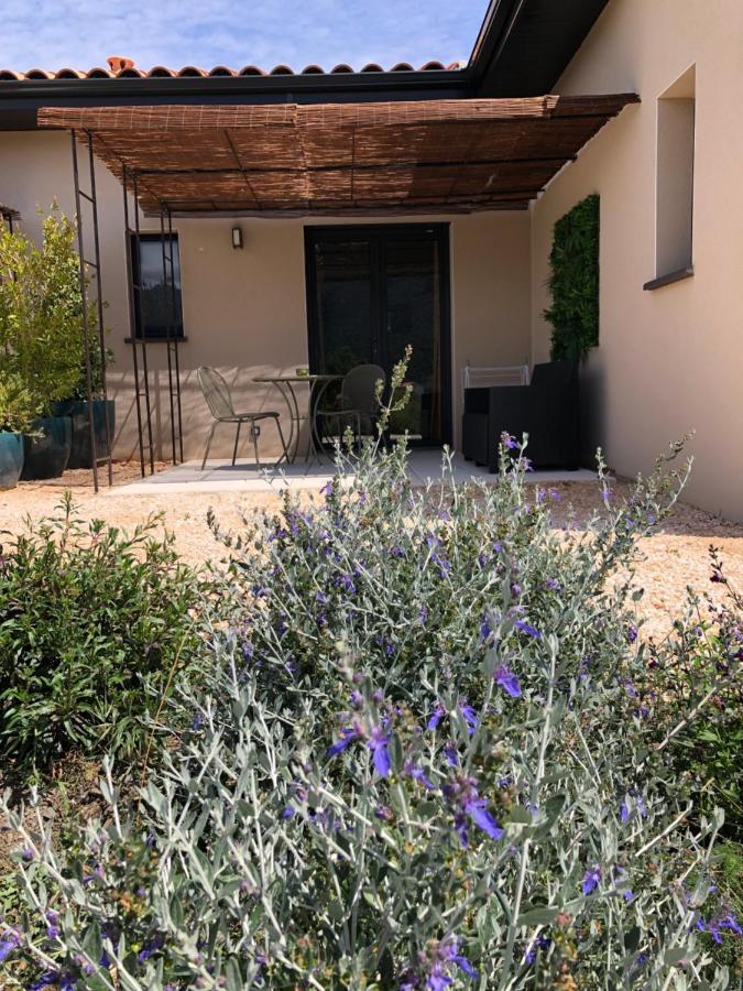 Domaine Mas Terra Bed & Breakfast Saint Paul de Fenouillet Bagian luar foto